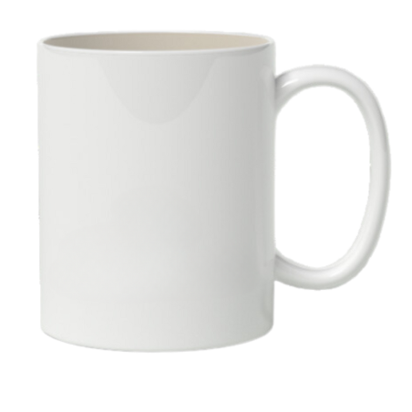 Professional Mug